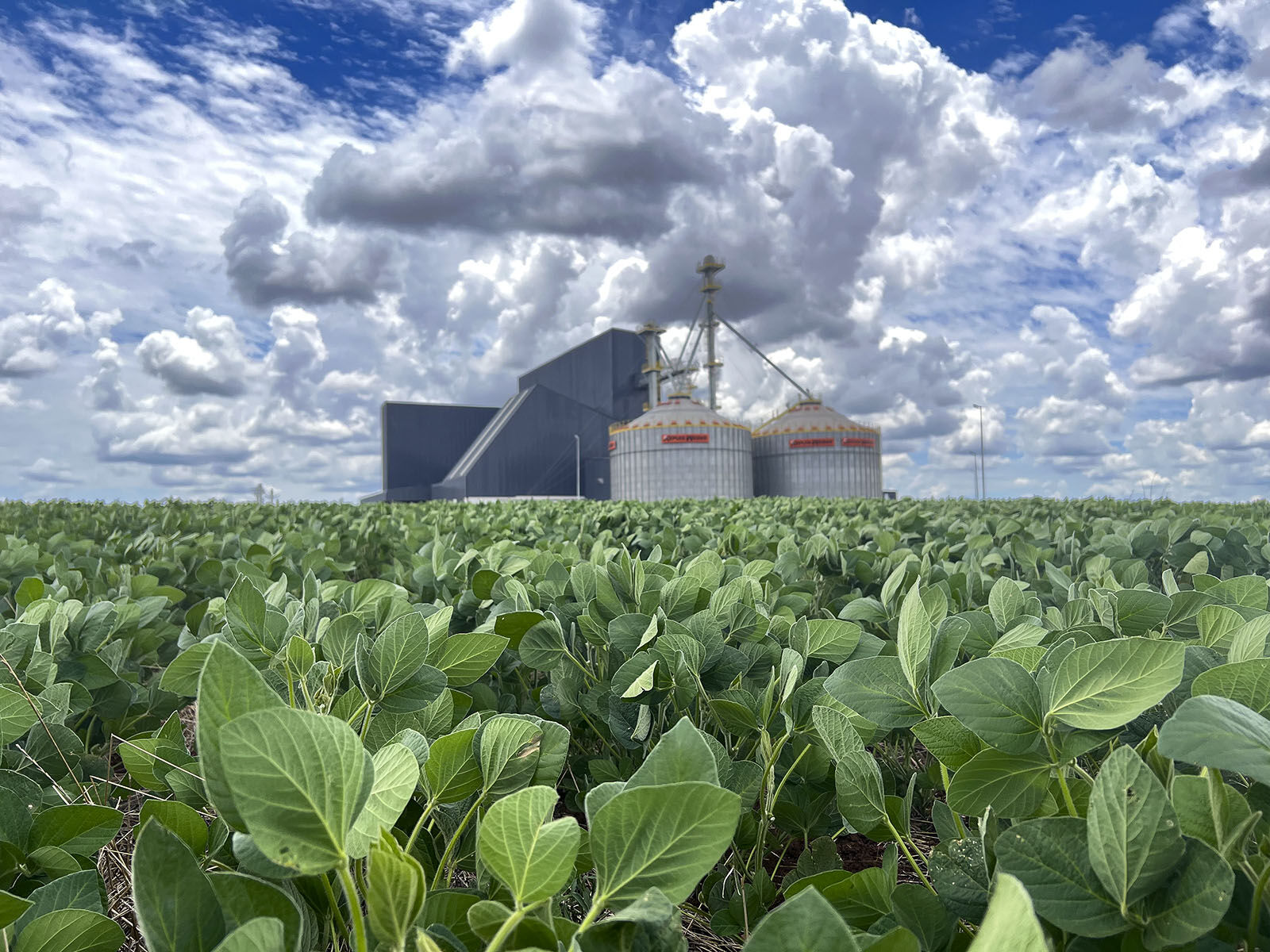 Could Brazil surpass U.S. as world's top corn exporter?